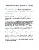 Ramanas de la Psicologia