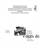 Voces de la filosofia Coordinación Regional de Producción y Recreación de Saberes