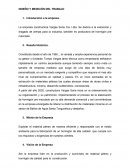 Diseño Introducción a la empresa.