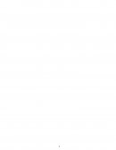 NFORME FINAL DE PRÁCTICAS PRE PROFESIONALES