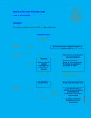 Como se dan Los New Radicals deberían reunirse? Nacidos en territorio nacional independiente de la nacionalidad de sus padres