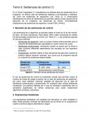 Cuales son los Ciclos Revisión de las sentencias de control