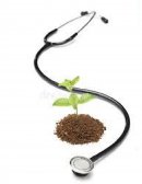 PLANTAS MEDICINALES ANCLAJE