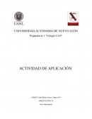 Como se da la Orientación 4 - actividad de aplicación