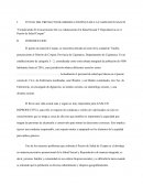 COMO SE DA LA SALUD Y REPRODUCTIVIDAD