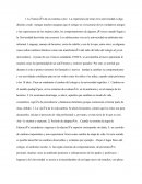 Como es Del liceo a la unefa