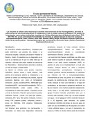 Tinción permanente Ritchie.