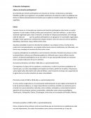 Derecho prehispani alv ¿Qué es el derecho prehispánico?