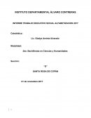 INFORME TRABAJO EDUCATIVO SOCIAL ALFABETIZACION 2017