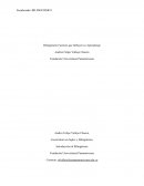 Bilingüismo Factores que Influyen su Aprendizaje