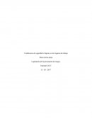 Condiciones de seguridad e higiene en los lugares de trabajo