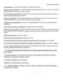 La fecundación: en los humanos es interna. Durante el acto sexual.