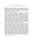 Enterprise Risk Management