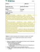 Dibujo Computarizado.