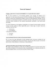 Explique ¿QUE ES EL CICLO ECONOMICO Y CUALES SON SUS FASES?. Página 2