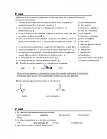 Bioquímica de alimentos (exámenes). Página 1