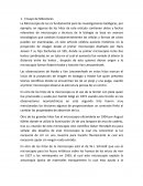 Ensayo de milestones