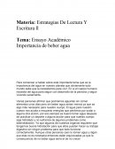 Ensayo Académico Importancia de beber agua