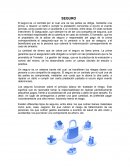 Como se da el Seguro y reaseguro