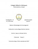 El papel del Estado en la educación superior