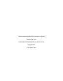 FUNDAMENTOS DE SISTEMAS OPERATIVOS Sistemas operativos Microsoft orientados al servidor