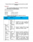 Tarea Nº 1 “Trabajo individual sobre formulación de la meta central de una unidad estratégica”