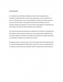 Corrupción en Gobiernos de Leonel Fernandez