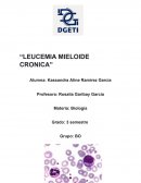 LEUCEMIA MIELOIDE CRONICA