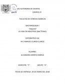 La vida en nosotros (bacterias)