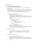 Sistemas Roles y Metodologías de Desarrollo