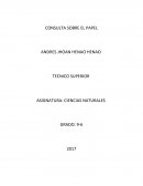 Consulta sobre el papel