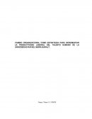 CAMBIO ORGANIZACIONAL COMO ESTRATEGIA PARA INCREMENTAR LA PRODUCTIVIDAD LABORAL DEL TALENTO HUMANO DE LA UNIVERSIDAD RAFAEL MARÍA BARALT.
