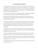 La contaminación es uno de los problemas más preocupantes y más relevantes en la actualidad