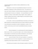 GARANTÍAS ESPECIALES COMO FACTOR DE ATRIBUCIÓN EN EL TEMA AERONÁUTICO