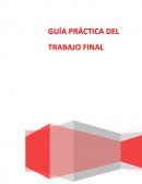 Guía Práctica del Trabajo Final - DIRECCIÓN FINANCIERA