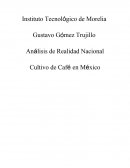 Análisis de Realidad Nacional Cultivo de Café en México