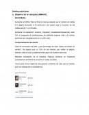 Briefing publicitario SMART