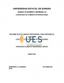 INFORME DE EXPERIENCIA PROFESIONAL PARA OBTENER EL GRADO DE