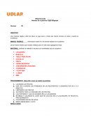 Nombre de la práctica Jugo antigripal