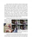 Maltrato Animal Habilidades y Ética III