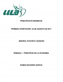 SEMANA 1. PRINCIPIOS DE LA ECONOMÍA