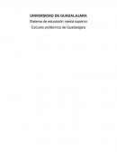 Sistema de educación media superior