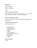 El plan de negocios Clean Garbage