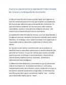 Cual es la relación entre la explotación indiscriminada de recursos y la búsqueda de crecimiento