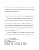 TAREA ANALISIS DEL CASO NEMAP LTDA