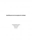 Identificación de conceptos de calidad Gestión de Calidad