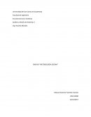 ENSAYO “METODOLOGIA SCRUM”