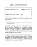 TAREA 4 – ENTREGA EN SEMANA 5 ESTRUCTURAS ORGANIZACIONALES