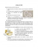 Calcio Algunas funciones que tiene el calcio