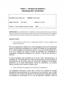 TAREA 1 – ENTREGA EN SEMANA 2 ORGANIZACIÓN Y ESTRATÉGIA